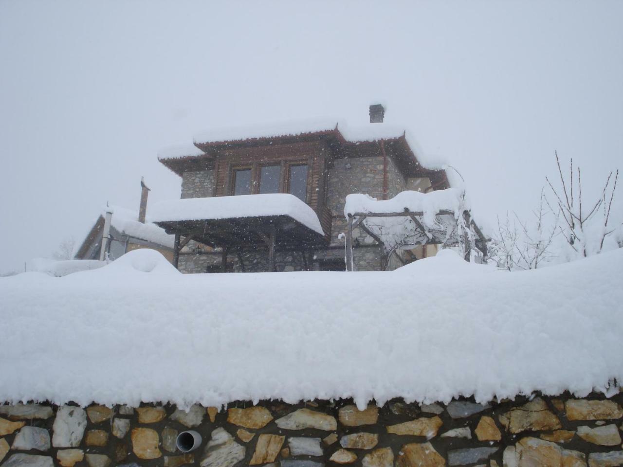 Kleio Villa Elatochori Exterior foto