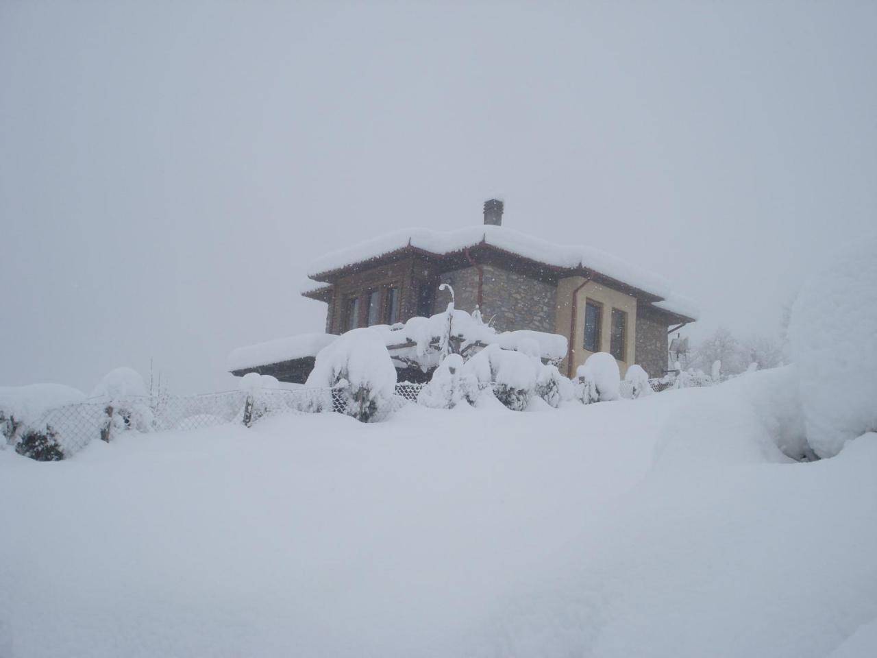 Kleio Villa Elatochori Exterior foto